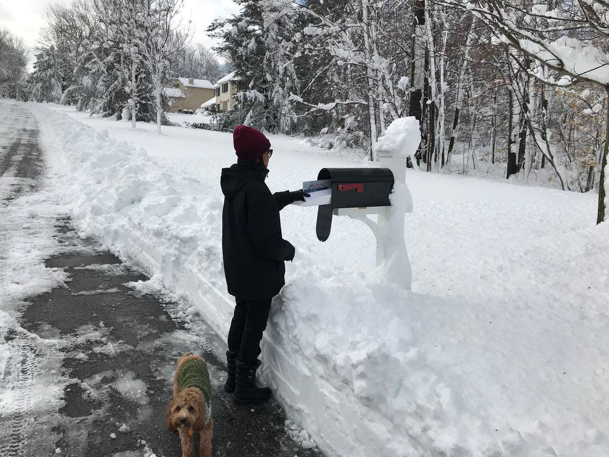 Sliding Mailbox Tray, Mailbox Insert, Extender. Large size your mail